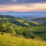 Vakantiehuis Domizil-kaiserstuhl *