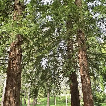Domizil-kaiserstuhl Feriehus *
