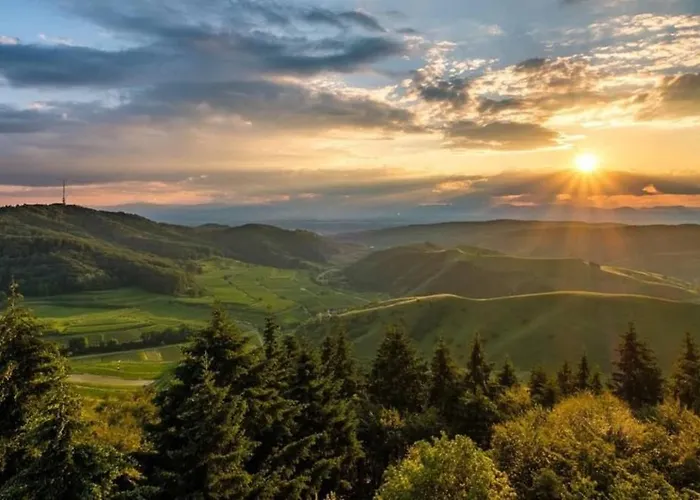 Domizil-kaiserstuhl Ihringen